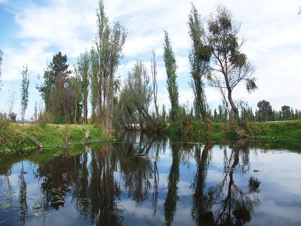 Island of the Dolls, Xochimilco, Mexico City, Isla de las Muñecas