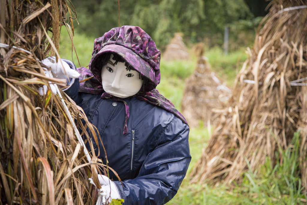 Scarecrow Village, Nagoro, Japan