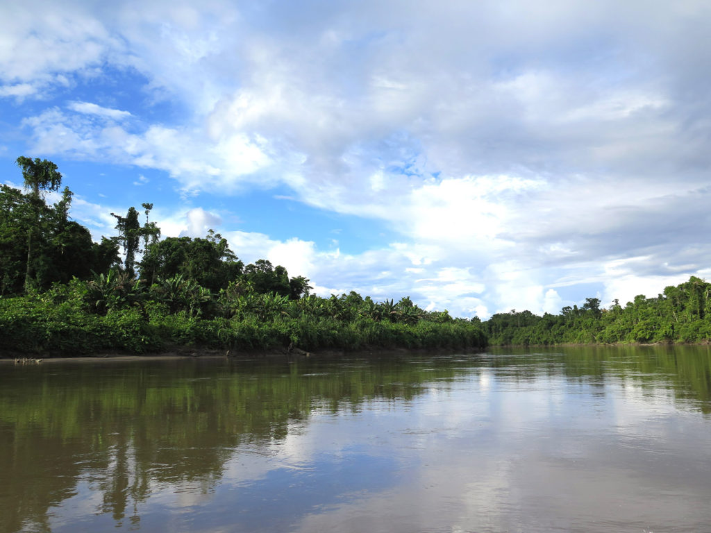 Journey to the Korowai treehouse jungle tribe, Papua, Indonesia