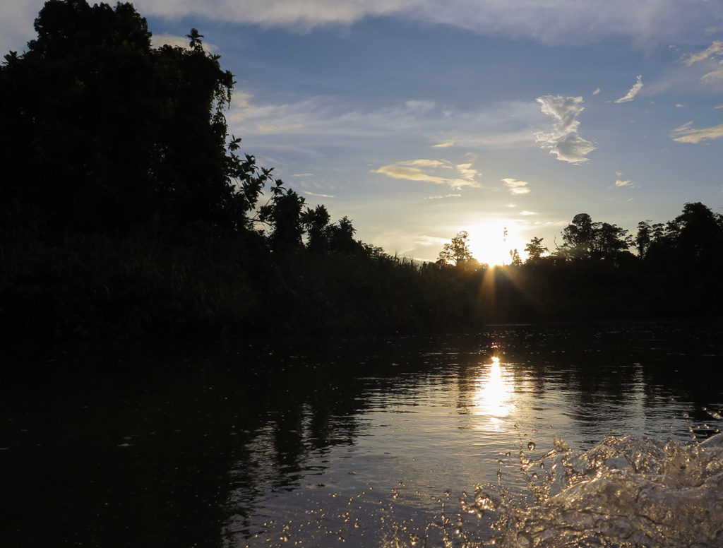 Journey to the Korowai treehouse jungle tribe, Papua, Indonesia