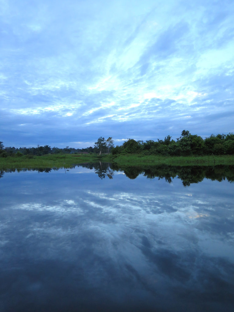 Journey to the Korowai treehouse jungle tribe, Papua, Indonesia