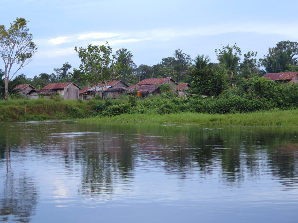 Journey to the Korowai treehouse jungle tribe, Papua, Indonesia