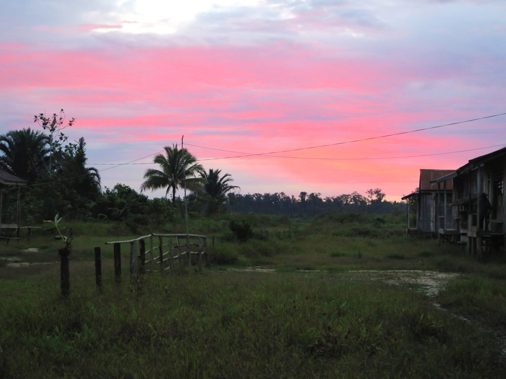 Journey to the Korowai treehouse jungle tribe, Papua, Indonesia