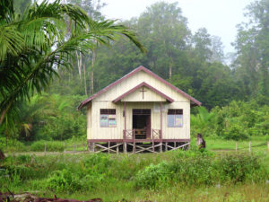 Jungle expedition to the Korowai tribe, Papua, Indonesia