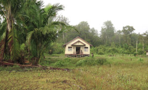 Jungle expedition to the Korowai tribe, Papua, Indonesia