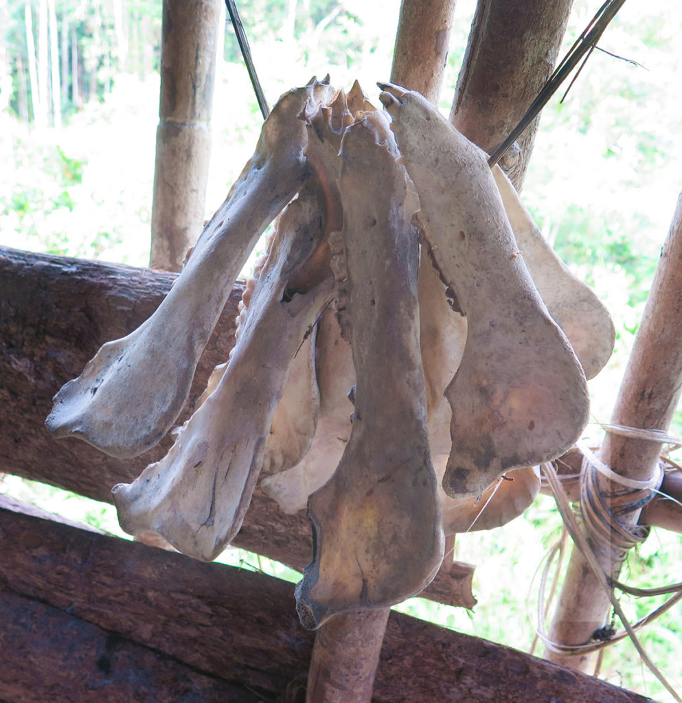 Jungle expedition to the Korowai tribe, Papua, Indonesia