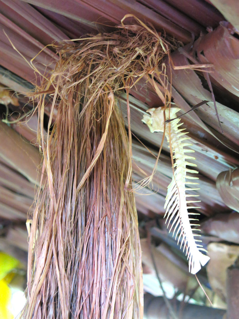 Jungle expedition to the Korowai tribe, Papua, Indonesia