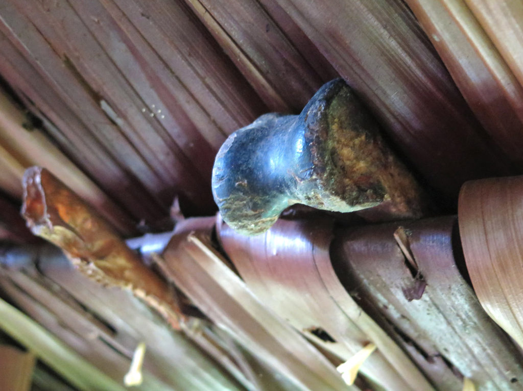 Jungle expedition to the Korowai tribe, Papua, Indonesia