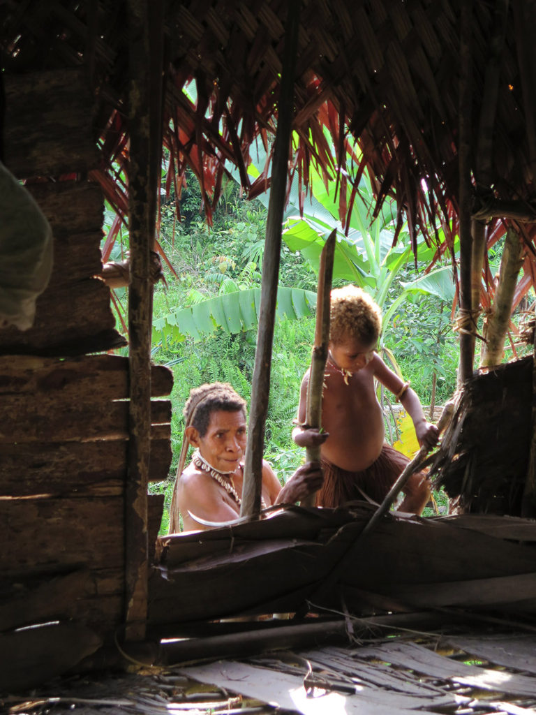 Jungle expedition to the Korowai tribe, Papua, Indonesia