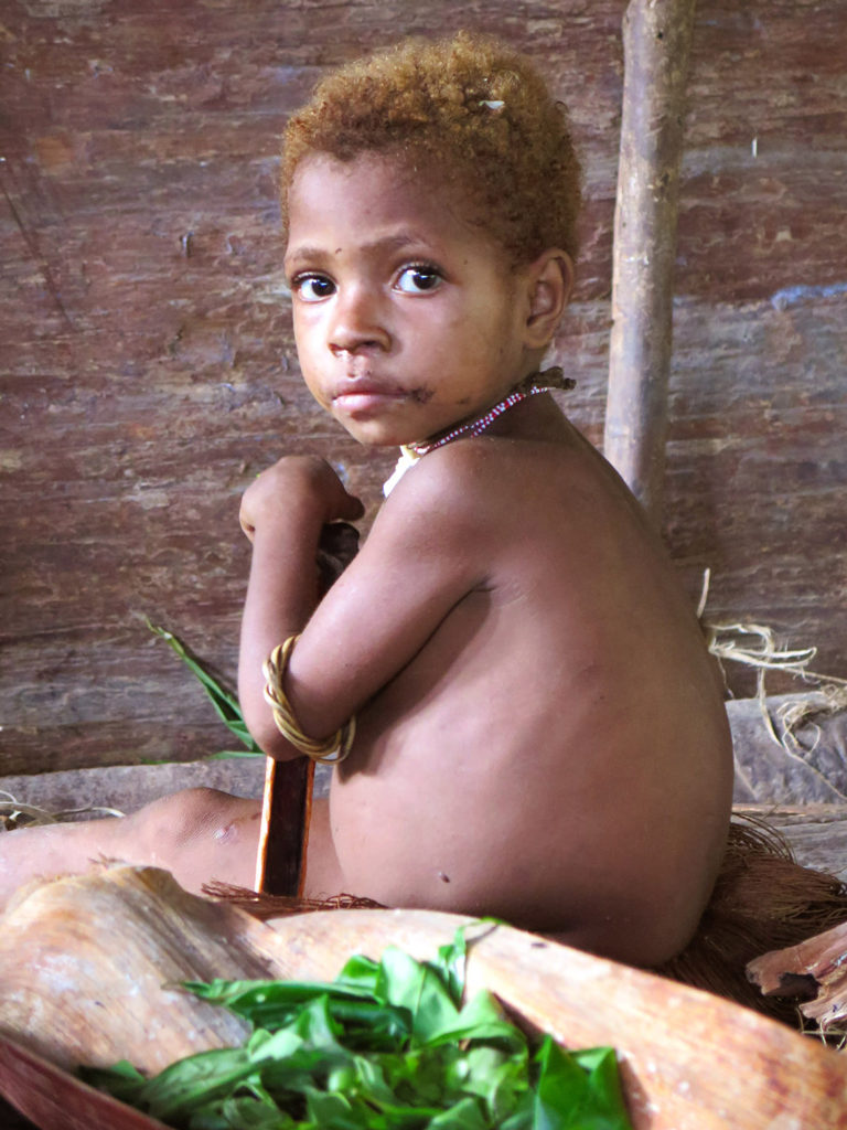 Jungle expedition to the Korowai tribe, Papua, Indonesia