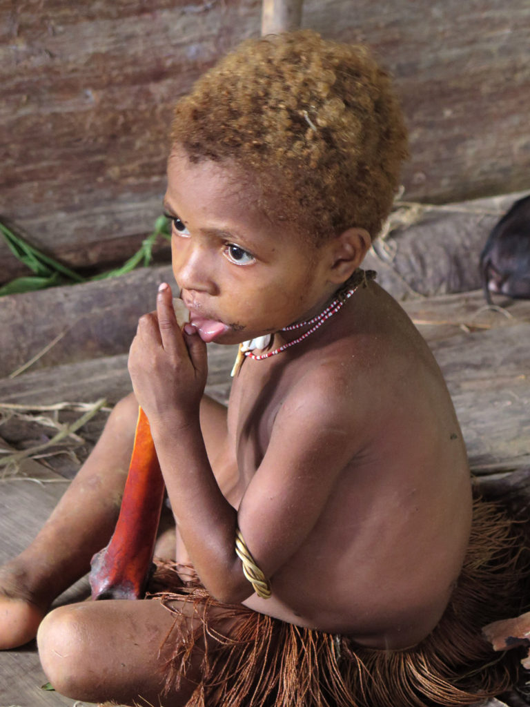 Jungle expedition to the Korowai tribe, Papua, Indonesia