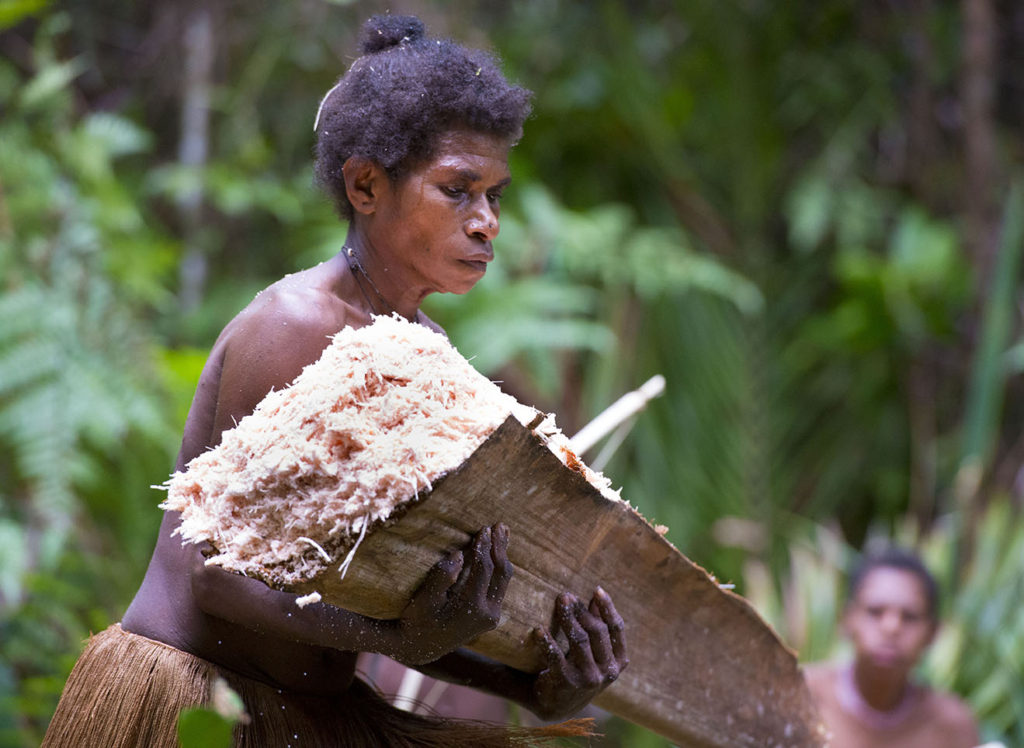 Jungle expedition to the Korowai tribe, Papua, Indonesia