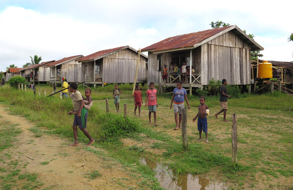 Jungle expedition to the Korowai tribe, Papua, Indonesia