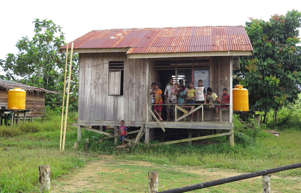 Jungle expedition to the Korowai tribe, Papua, Indonesia