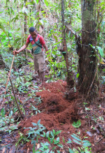 Jungle expedition to the Korowai tribe, Papua, Indonesia