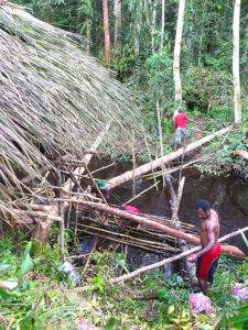 Jungle expedition to the Korowai tribe, Papua, Indonesia