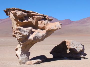 The Árbol de Piedra (stone tree) is an isolated rock formation in Bolivia’s Eduardo Avaroa Andean Fauna National Reserve