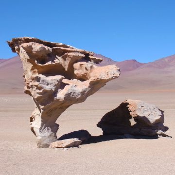 The Árbol de Piedra (stone tree) is an isolated rock formation in Bolivia’s Eduardo Avaroa Andean Fauna National Reserve