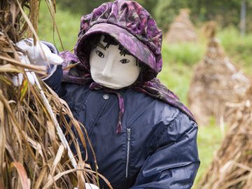 Scarecrow Village, Nagoro, Japan