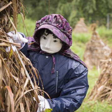 A human sized scarecrow is made to replace a dwindling population in Nagoro, Japan