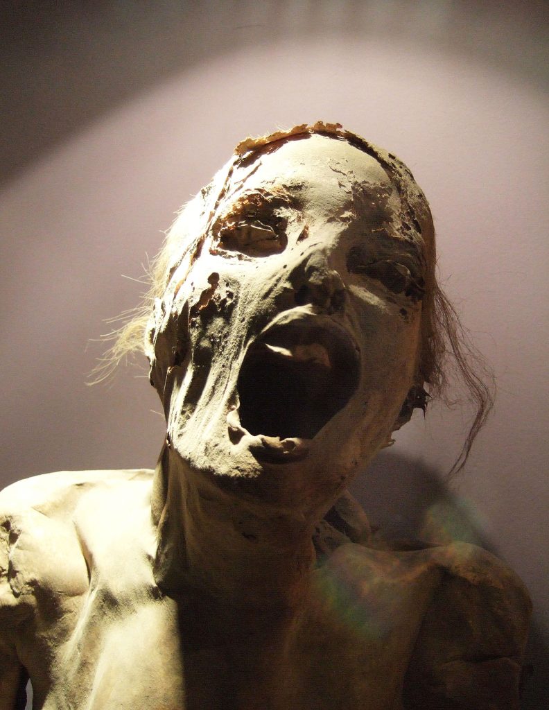 Mexico, El Museo de las Momias (The Museum of the Mummies)