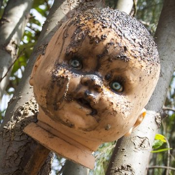 Island of the Dolls, Xochimilco, Mexico City, Isla de las Muñecas