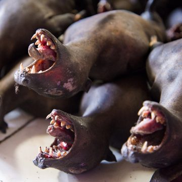 The Tomohon Extreme Market, near the city of Manado in Suawesi, Indonesia, is one of the world’s most notorious markets.