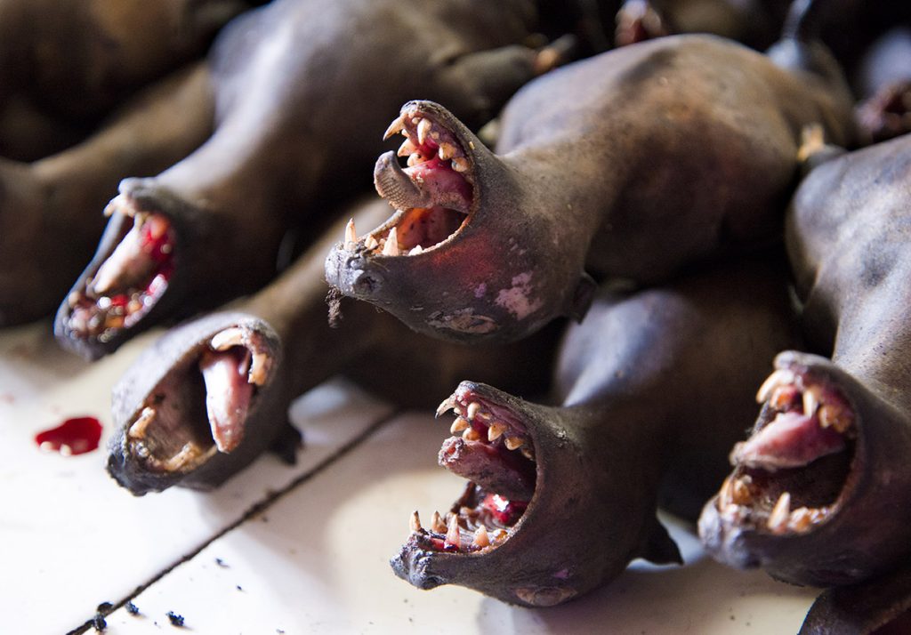 The Tomohon Extreme Market, near the city of Manado in Suawesi, Indonesia, is one of the world’s most notorious markets.